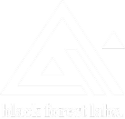 Black Forest Labs